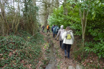 BRECE-ille-et-vilaine