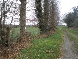 AUTOUR DE TINTENIAC (18KMS)-ille-et-vilaine