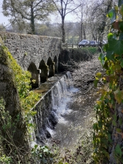 VARIANTE DU CIRCUIT DE L ETANG DE CHEVRE-ille-et-vilaine