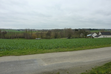 SAINT-ARMEL-ille-et-vilaine