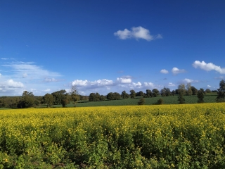 AU NORD DES BRULAIS-ille-et-vilaine
