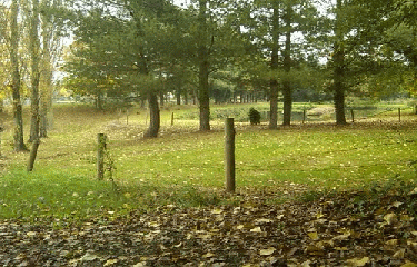 RANNEE-ille-et-vilaine