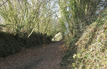 RANNEE-ille-et-vilaine