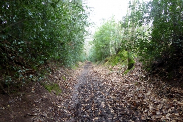 CIRCUIT DU PONT DE PIERRE - BROONS SUR VILAINE-ille-et-vilaine