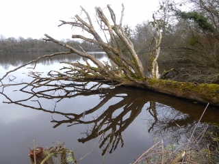 CIRCUIT DU PONT DE PIERRE - BROONS SUR VILAINE-ille-et-vilaine