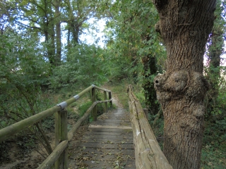 CHEMIN DE 3 RUISSEAUX ET 1 MOTTE-ille-et-vilaine