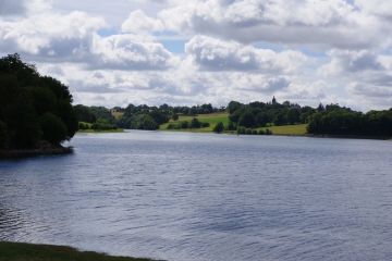 LE CHAMPS DOLENT-ille-et-vilaine