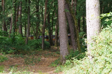 LE CHAMPS DOLENT-ille-et-vilaine