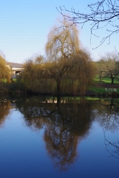 NOYAL-SUR-VILAINE-ille-et-vilaine