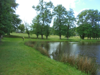 TREFFENDEL ENTRE LANDES, RUISSEAU ET FORêTS-ille-et-vilaine