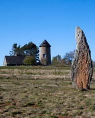 LANDES DE TREAL-ille-et-vilaine