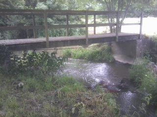 MUEL - FORET DE BROCELIANDE-ille-et-vilaine