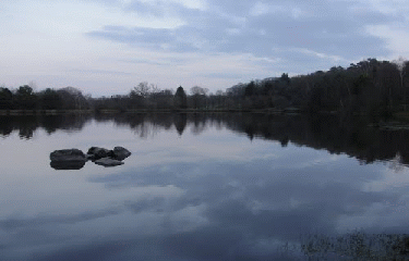 ETANG DE LA MARETTE-ille-et-vilaine