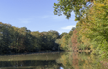 BOURG-DES-COMPTES - CIRCUIT DES BICHES-ille-et-vilaine