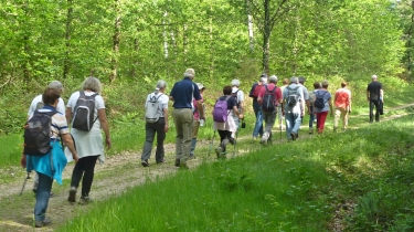 PANZOULT- -GR 48 FORET DE CHINON- GROTTE DE LA SYBILLE-indre-et-loire
