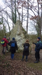 VILLANDRY - LE BEC DU CHER - LA VALLEE ALLUVIALE - LE MENHIR LA PIERRE AUX JONC-indre-et-loire