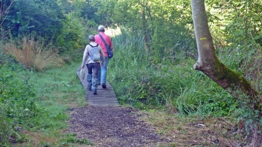 VAL DE CHOISILLE - SAINT CYR SUR LOIRE - FONDETTES - LA MEMBROLLE SUR CHOISILLE-indre-et-loire