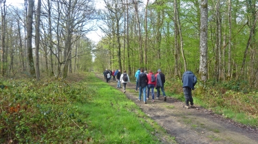 LUSSAULT-SUR-LOIRE – PARTIE OUEST FORET D AMBOISE-indre-et-loire