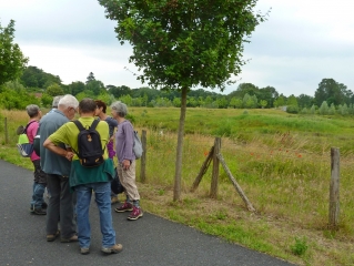 SAINT-CYR-SUR-LOIRE - FONDETTES - ESPACE NATUREL SENSIBLE VAL DE CHOISILLE-indre-et-loire