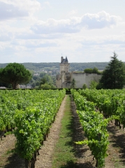 CHINON - TOUR DE VILLE-indre-et-loire