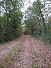 CIRCUIT DE RANDONNEE ET BALADE DE LUZE-indre-et-loire