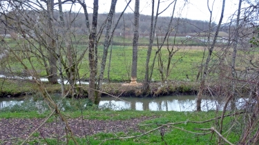 SAINT-CYR-SUR-LOIRE - LE VAL DE CHOISILLE  LES  PIEDS  AU  SEC-indre-et-loire