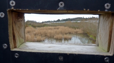 SAINT-CYR-SUR-LOIRE - LE VAL DE CHOISILLE  LES  PIEDS  AU  SEC-indre-et-loire