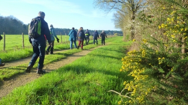 SOUVIGNE - SES PETITES ROUTES DE CAMPAGNE - LA LANDE LA FORET-indre-et-loire
