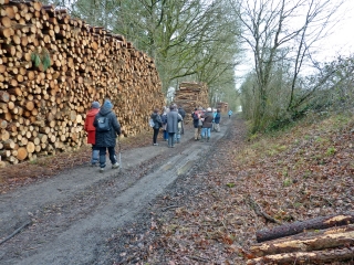 SOUVIGNE - SES PETITES ROUTES DECAMPAGNE LA LANDE ET LA FORET-indre-et-loire