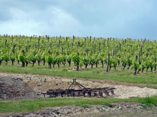 CHANCAY - VALLEE DU VAU ET SES VIGNES (AOC VOUVRAY) - VALLEE DE LA BRENNE-indre-et-loire