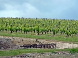 CHANCAY - VALLEE DU VAU ET SES VIGNES (AOC VOUVRAY) - VALLEE DE LA BRENNE-indre-et-loire