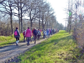 PERNAY - SES  BOIS  ET SES CHEMINS-indre-et-loire
