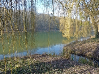 ROUZIERS-DE-TOURAINE - EN PAYS DE RACAN - SUR LES TRACES DU POETE-indre-et-loire