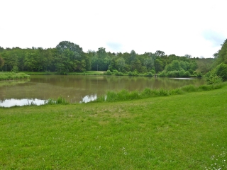 NOUZILLY - RANDO BUCOLIQUE PRESQUE ESSENTIELLEMENT EN FORETS-indre-et-loire