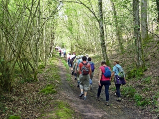 NOUZILLY - RANDO BUCOLIQUE PRESQUE ESSENTIELLEMENT EN FORETS-indre-et-loire