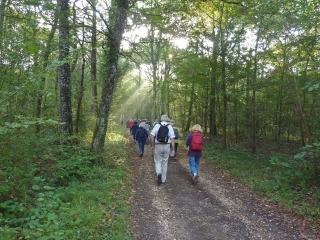 BEAUMONT-LA-RONCE - PLAINE ET FORET- DE LA CAILLE AU CHEVREUIL-indre-et-loire