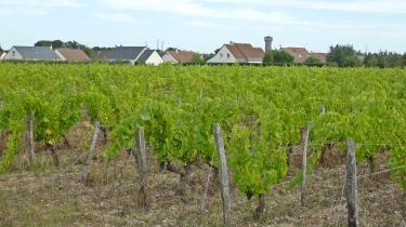 VALLERES - DE LA POMME AU RAISIN PAR LES PETITS CHEMINS-indre-et-loire