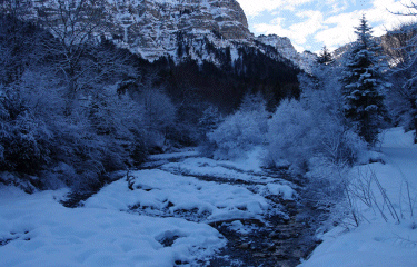  Au pied du mont Aiguille-isere