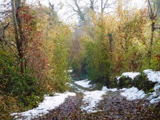 ST-MARCEL-BEL-ACCUEIL - MONT CHATELANS - CHAPELLE DE LA SALETTE ET ST PIERR MESSENAS-isere
