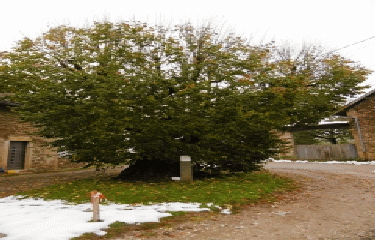 PANOSSAS - BOUCLE DES HAMEAUX-isere