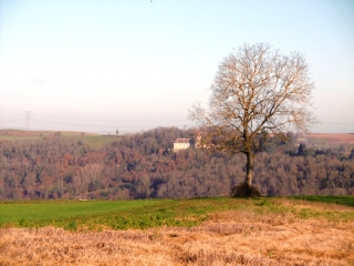 MONTCEAU - GRAND TOUR PAR LE RUISSEAU-isere