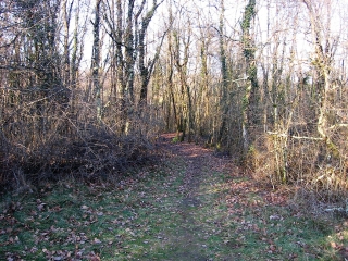 VASSELIN - VEZERONCE CURTIN - LA TOUR DE CHARRAY-isere