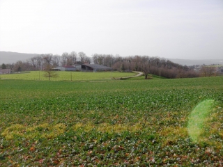 MONTBERNIER - ETANG DE LA ROSIERE PAR RUY-isere
