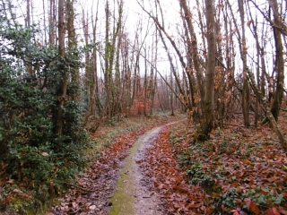 MARENNES - PEREGRINATION DE LA SAINTE CATHERINE-isere