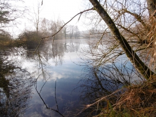 BOUVESSE - TOUR DU MONT BAYANGE-isere
