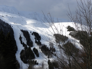 ALPE DU GRAND SERRE-isere