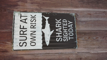 DE SAINT-AUPRE VERS L ETANG DES CHARTREUX-isere