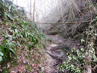 SERPAIZE - COMBE DE REMOULON-isere