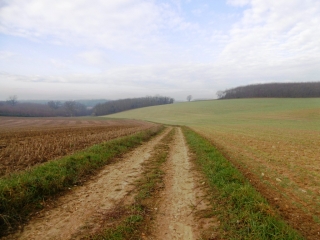 SERPAIZE - COMBE DE REMOULON-isere