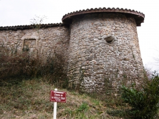 MOIDIEU LA DETOURBE - BOIS DE LA MALADIERE-isere